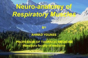 Neuroanatomy of Respiratory Muscles BY AHMAD YOUNES PROFESSOR
