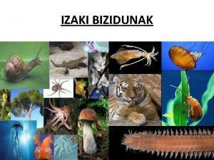 IZAKI BIZIDUNAK AURKIBIDEA 1 IZAKI BIZIDUNOK NOLAKOAK GAREN