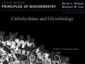 Carbohydrates and Glycobiology 2009 W H Freeman and