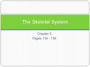 The Skeletal System Chapter 5 Pages 134 138