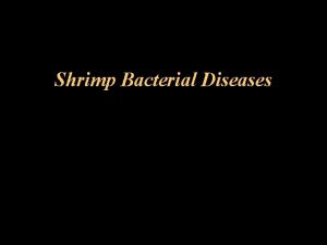 Shrimp Bacterial Diseases Shrimp Bacterial Diseases Covered Vibriosis