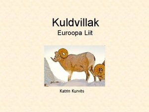 Kuldvillak Euroopa Liit Katrin Kurvits Euroopa Liidu institutsioonid