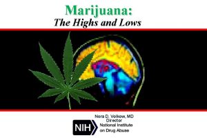 Marijuana The Highs and Lows Nora D Volkow