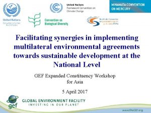Facilitating synergies in implementing multilateral environmental agreements towards
