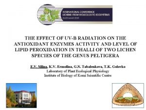 THE EFFECT OF UVB RADIATION ON THE ANTIOXIDANT