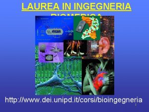 LAUREA IN INGEGNERIA BIOMEDICA http www dei unipd