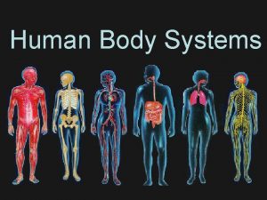 Human Body Systems These organs are in which