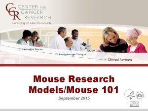 Mouse Research ModelsMouse 101 September 2015 Mouse Research