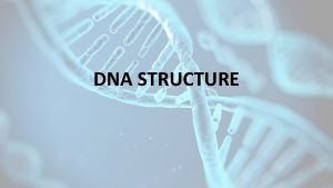 DNA STRUCTURE Why Do We Study DNA DNA