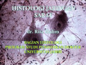 HISTOLOGI JARINGAN SARAF dr Rita Halim BAGIAN HISTOLOGI