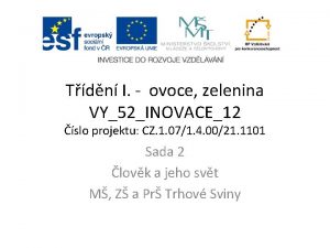 Tdn I ovoce zelenina VY52INOVACE12 slo projektu CZ