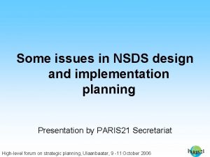 Some issues in NSDS design and implementation planning