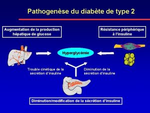 Pathogense du diabte de type 2 Augmentation de