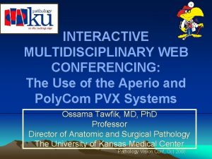 INTERACTIVE MULTIDISCIPLINARY WEB CONFERENCING The Use of the