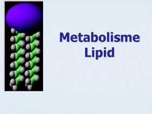 Metabolisme Lipid Metabolisme LIPID n Degradasi Lipid Oksidasi