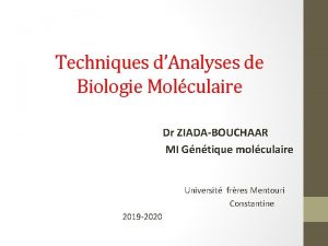 Techniques dAnalyses de Biologie Molculaire Dr ZIADABOUCHAAR MI