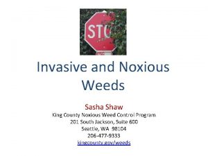 Invasive and Noxious Weeds Sasha Shaw King County