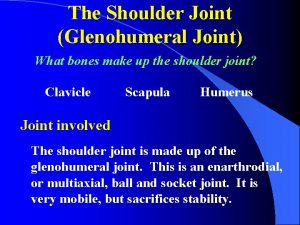 The Shoulder Joint Glenohumeral Joint What bones make