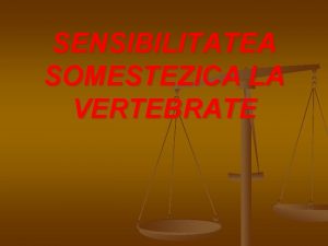 SENSIBILITATEA SOMESTEZICA LA VERTEBRATE Sensibilitatea somestezica n n