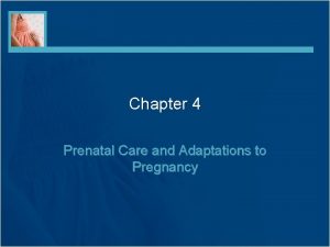 Chapter 4 Prenatal Care and Adaptations to Pregnancy