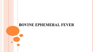 BOVINE EPHEMERAL FEVER Synonyms BOVINE EPIZOOTIC FEVER EPHEMERAL