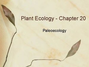 Plant Ecology Chapter 20 Paleoecology Paleoecology The study