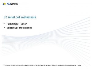 L 3 renal cell metastasis Pathology Tumor Subgroup
