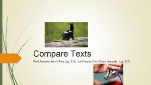 Compare Texts Wild Animals Arent Pets pg 223