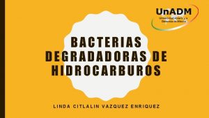 BACTERIAS DEGRADADORAS DE HIDROCARBUROS LINDA CITLALIN VAZQUEZ ENRIQUEZ