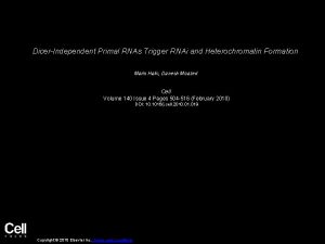 DicerIndependent Primal RNAs Trigger RNAi and Heterochromatin Formation