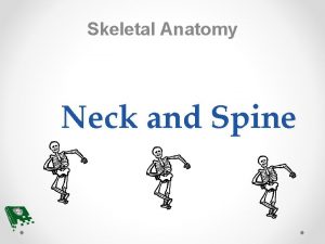 Skeletal Anatomy Neck and Spine Bellwork Complete only