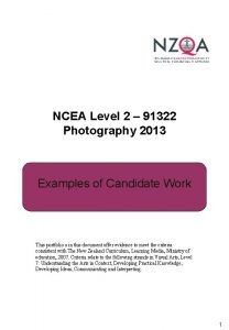 NCEA Level 2 91322 Photography 2013 Examples of