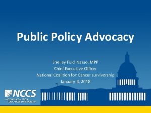 Public Policy Advocacy Shelley Fuld Nasso MPP Chief