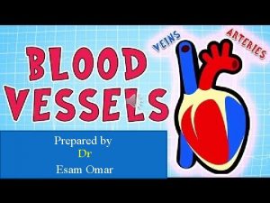 Prepared by Dr Esam Omar Components of vascular