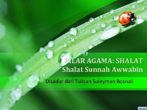 PILAR AGAMA SHALAT Shalat Sunnah Awwabin Disadur dari