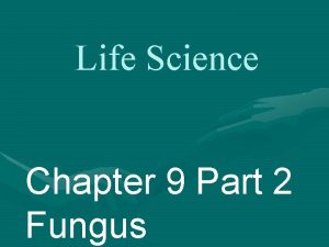 Life Science Chapter 9 Part 2 Fungus Fungi