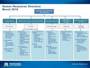 Human Resources Structure March 2016 Chief Human Resources