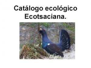 Catlogo ecolgico Ecotsaciana Cosmtica Tnico Facial Calmante Naobay