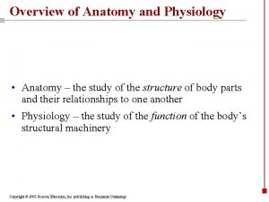 Overview of Anatomy and Physiology Anatomy the study