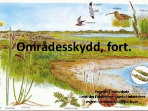 Omrdesskydd fort Evgenia Pavlovskaia Juridiska Fakulteten Lunds Universitet