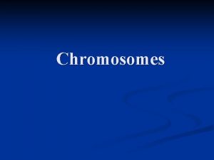 Chromosomes Jumlah chromosom n n n Individu pada
