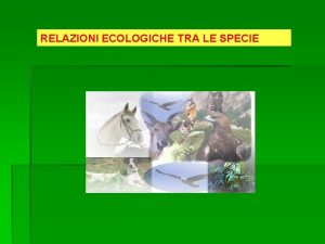 RELAZIONI ECOLOGICHE TRA LE SPECIE SIMBIOSI VIVERE INSIEME