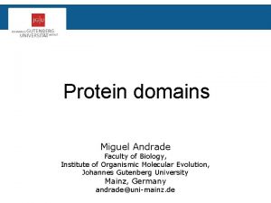 Protein domains Miguel Andrade Faculty of Biology Institute