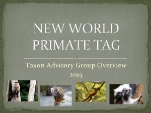 NEW WORLD PRIMATE TAG Taxon Advisory Group Overview