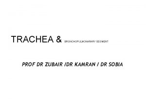 TRACHEA BRONCHOPULMONARARY SEGMENT PROF DR ZUBAIR DR KAMRAN