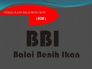 PENGELOLAAN BALAI BENIH IKAN BBI Benih Ikan Salah