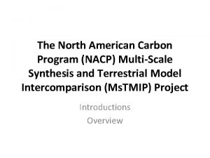 The North American Carbon Program NACP MultiScale Synthesis