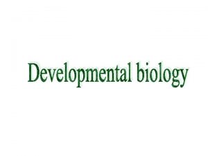 Developmental biology Developmental biology is the study of