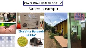 OIA GLOBAL HEALTH FORUM Banco a campo Baric