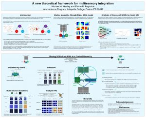 A new theoretical framework for multisensory integration Michael